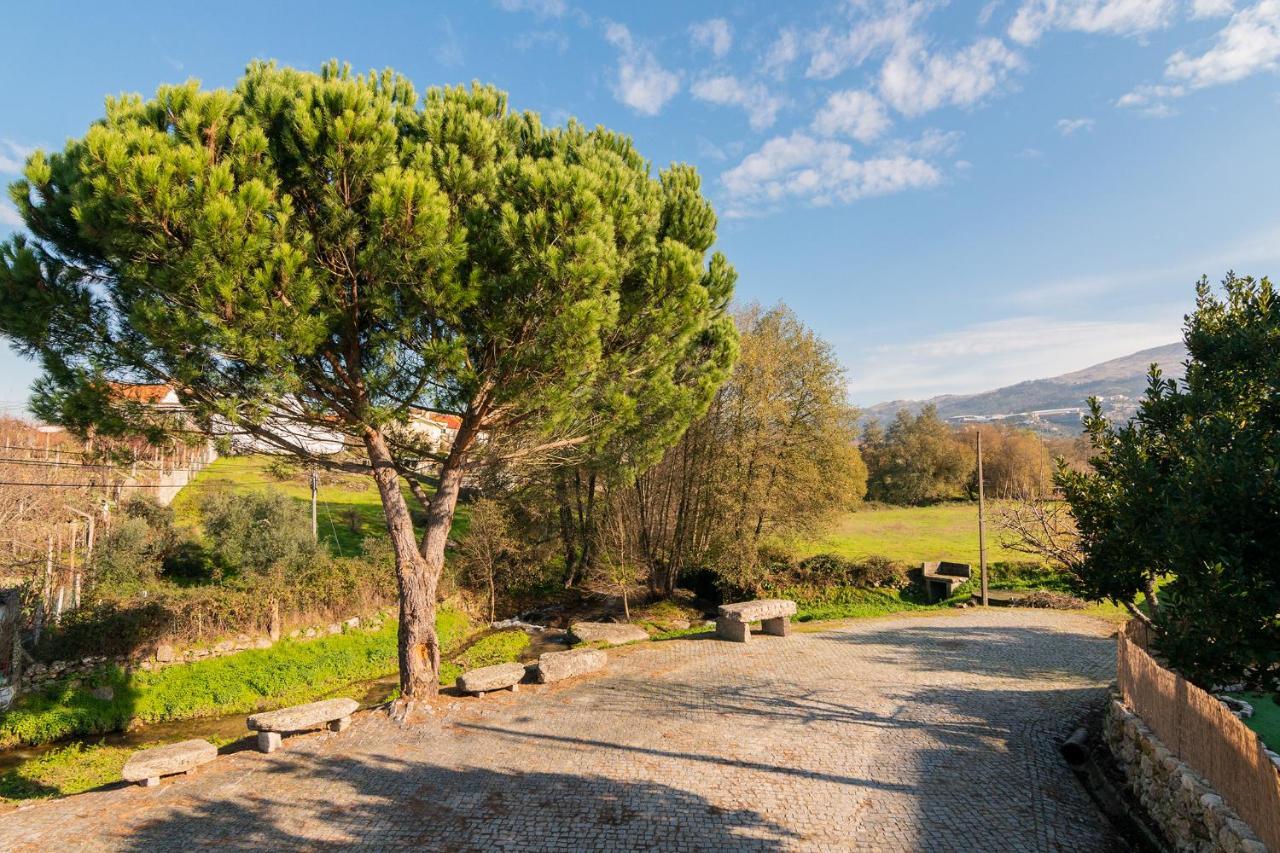 Casa Do Loureiro 1 - Seia - Serra Da Estrela 외부 사진